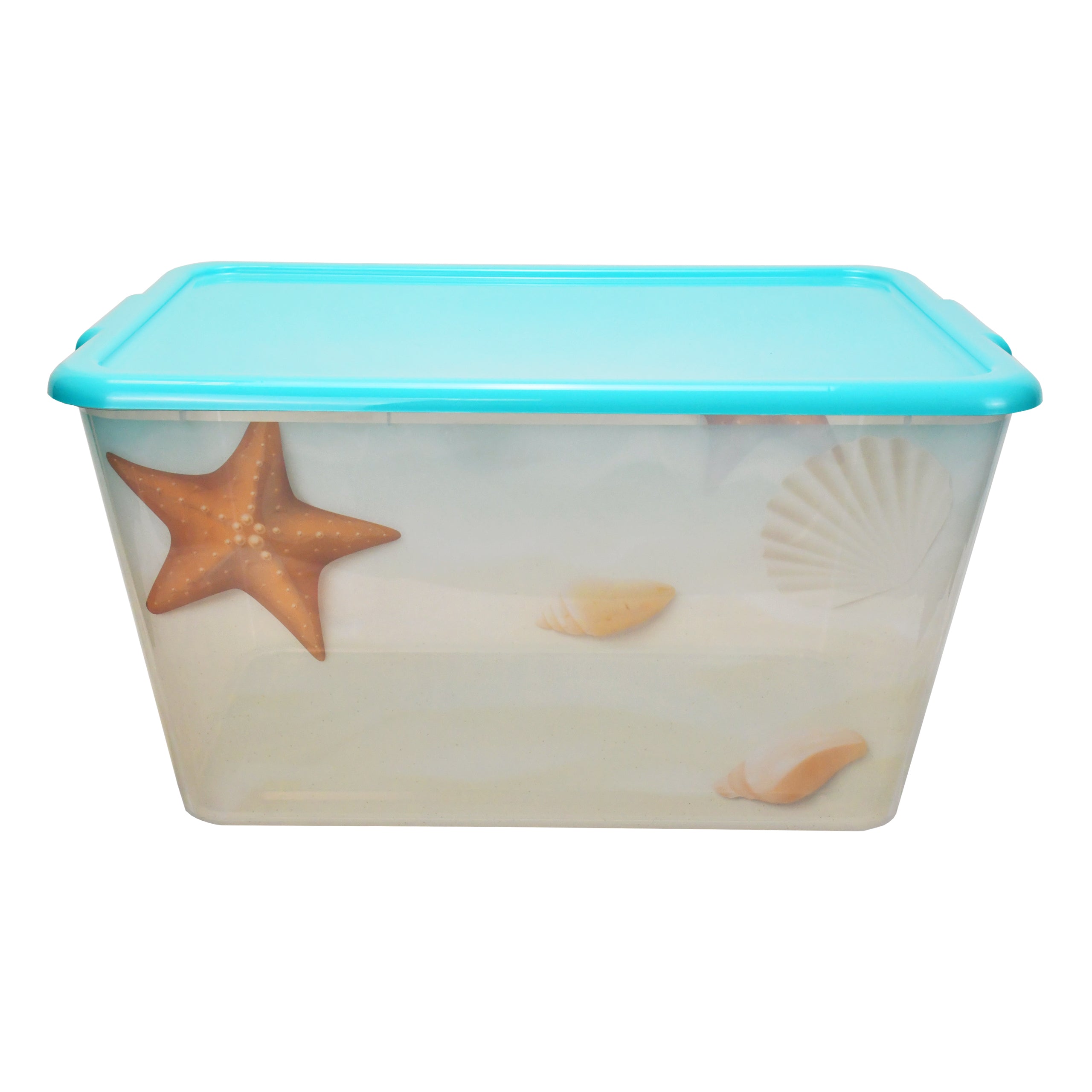 Transparent Storage Container Bins with Lid, Colorful Design Options (Pack of 4)