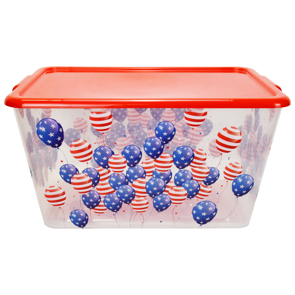 Transparent Storage Container Bins with Lid, Colorful Design Options (Pack of 4)