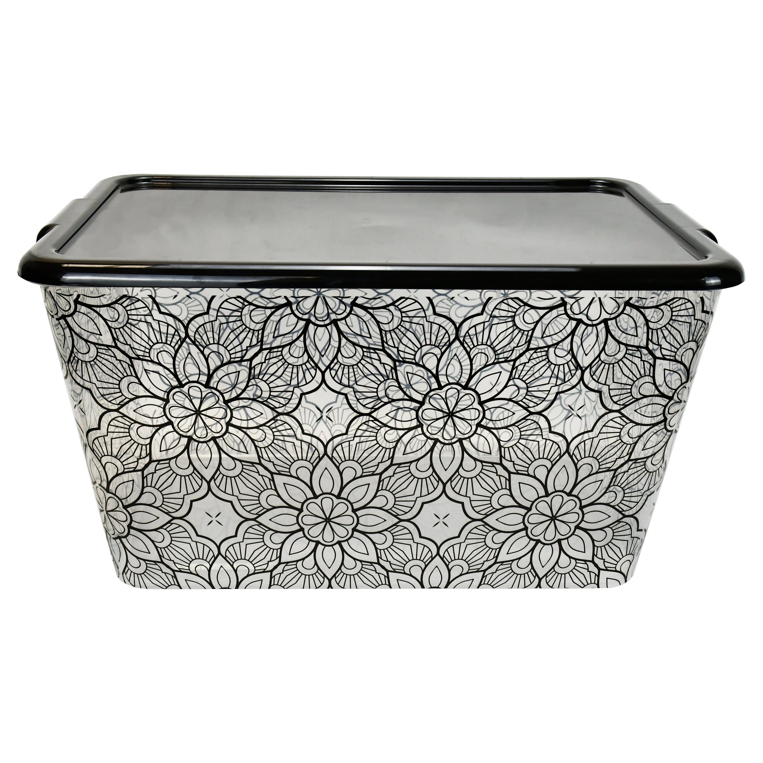 Transparent Storage Container Bins with Lid, Colorful Design Options (Pack of 4)