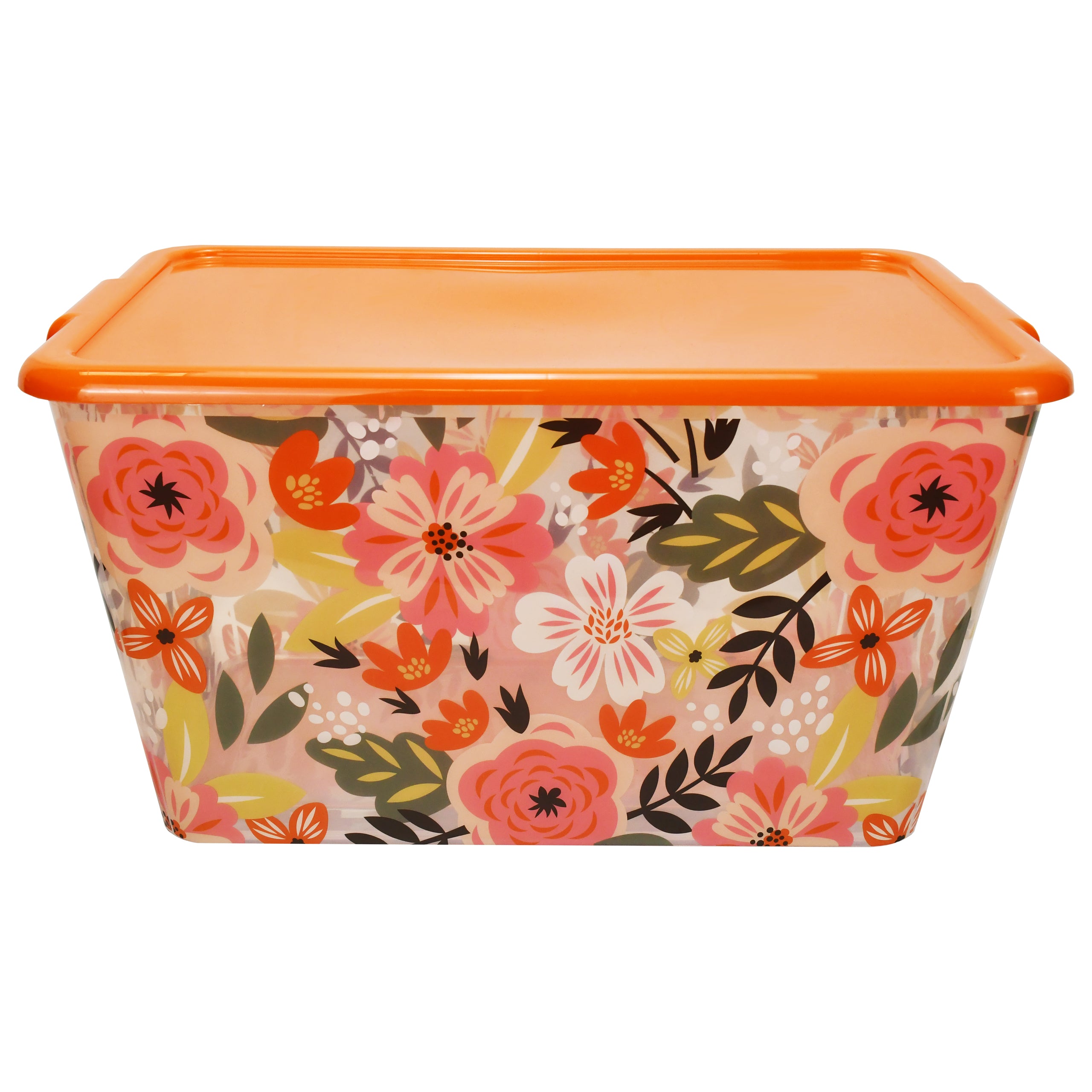 Transparent Storage Container Bins with Lid, Colorful Design Options (Pack of 4)