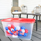 Transparent Storage Container Bins with Lid, Colorful Design Options (Pack of 4)