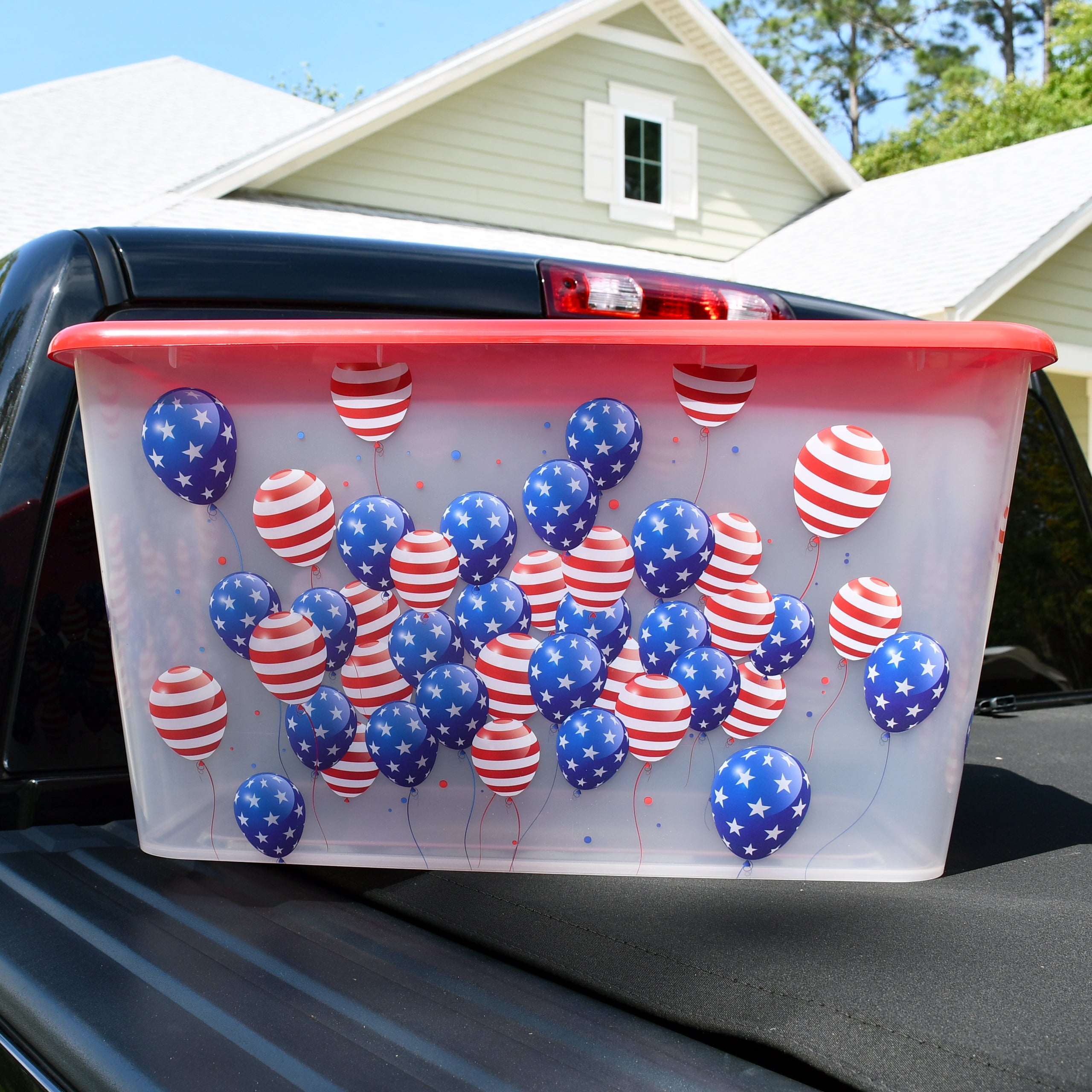 Transparent Storage Container Bins with Lid, Colorful Design Options (Pack of 4)