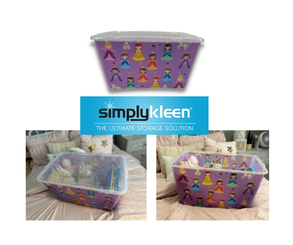 Transparent Storage Container Bins with Lid, Colorful Design Options (Pack of 4)