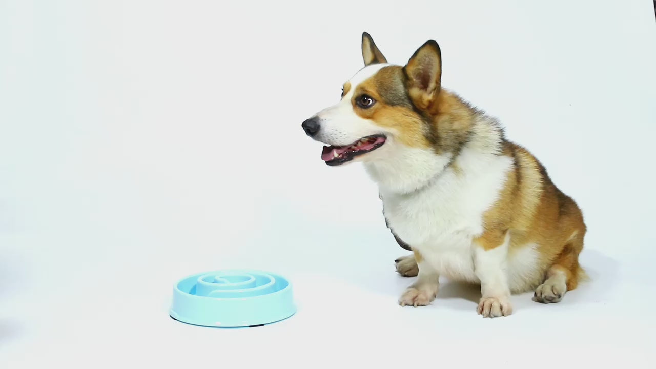 Simplykleen Slow Feeder Dog Bowls fun Interactive Flow Feeding Bloat Stop Pet Bowls