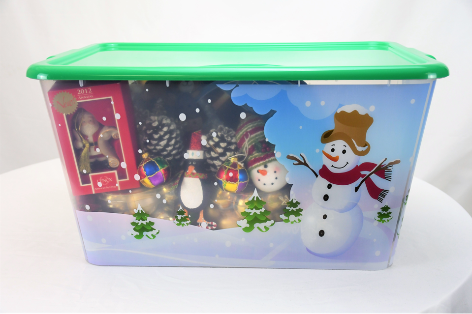 Transparent Storage Container Bins with Lid, Colorful Design Options (Pack of 4)